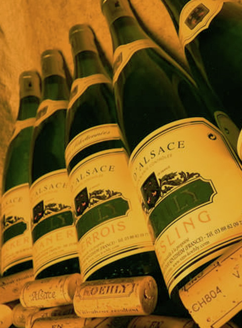 Foire aux vin Novembre