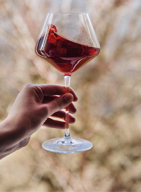 Foire aux vin