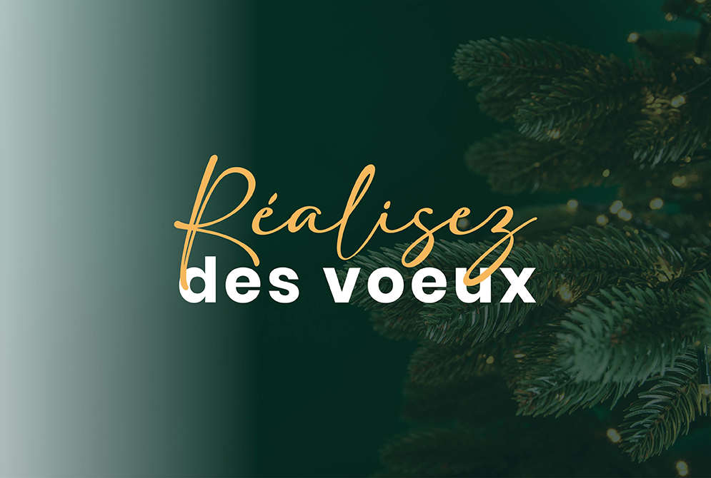 Sapin de Noël de charité